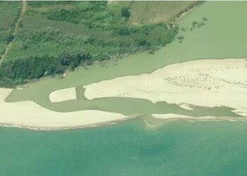 Foce del Crocchio, 10mila euro per pulizia arenile