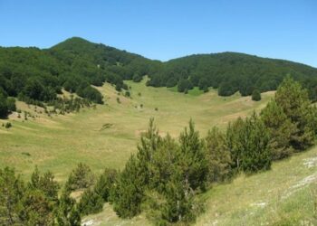 Pisl, 356mila euro per parco avventura calabrese