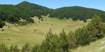 Pisl, 356mila euro per parco avventura calabrese