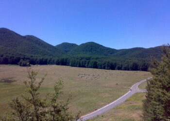 Progetto Sharewood, alla scoperta del cammino del legno