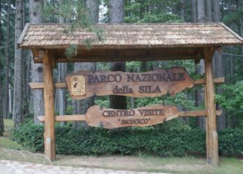 Parco della Sila candidato per l’Unesco