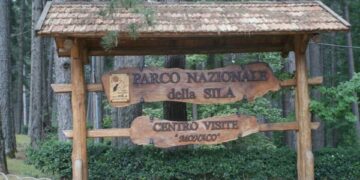 Parco della Sila candidato per l’Unesco