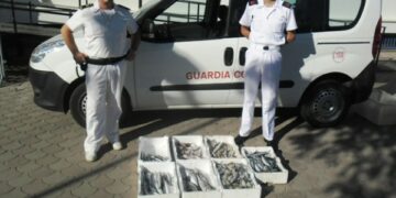 Sequestrati 130 chili di tonno e prodotti ittici
