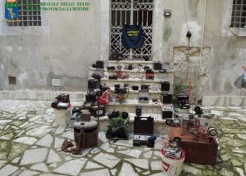 Caccia, 25 richiami illegali sequestrati nel crotonese