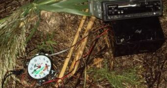 Richiami illegali per quaglie a Cutro