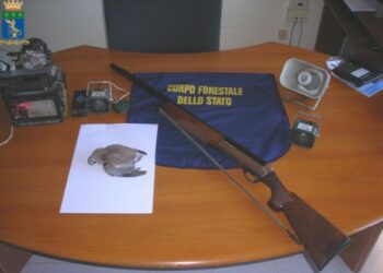 Denunciato cacciatore e sequestrati richiami illegali