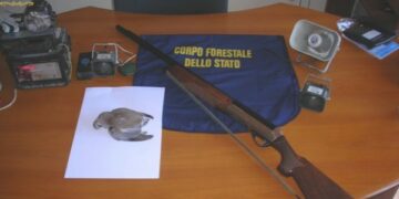 Denunciato cacciatore e sequestrati richiami illegali