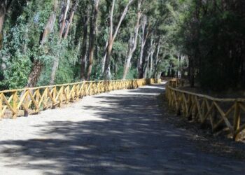 Valorizzazione Pineta, arriva la recinzione in legno