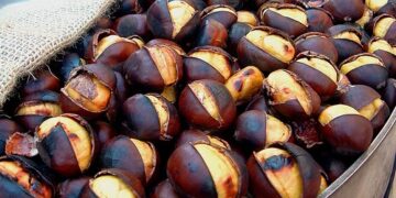 Arriva la XII Sagra della Castagna dall’1 al 4 novembre