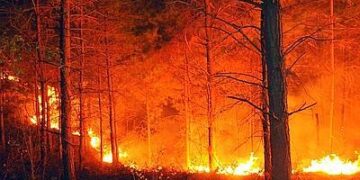 Incendi, Calabria la regione piu’ colpita nel 2012