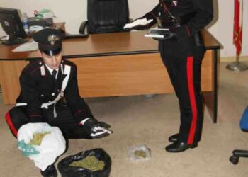 Droga, giovane crotonese arrestato per spaccio