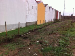 Cipressi rubati al cimitero di Isola Capo Rizzuto