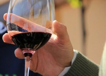 Festa di San Martino, Profumi & Sapori di Ciro’