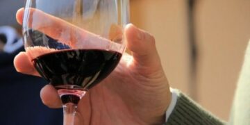 Festa di San Martino, Profumi & Sapori di Ciro’