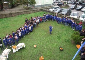 Le scuole partecipano alla festa degli alberi