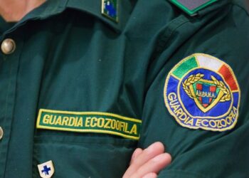 Atto intimidatorio all’Anpana Catanzaro