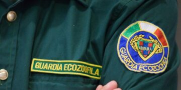 Atto intimidatorio all’Anpana Catanzaro