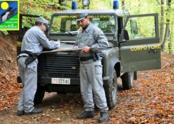 Battuta di caccia nel Parco Nazionale della Sila