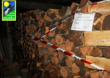 Sorpreso a tagliare legna in Sila