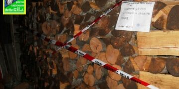 Sorpreso a tagliare legna in Sila