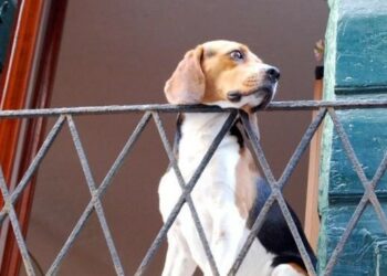 Condomini, ecco cosa cambia con la riforma