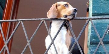 Condomini, ecco cosa cambia con la riforma