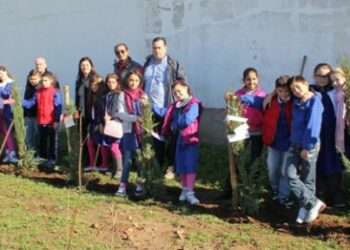 Studenti (ri)piantano gli alberi rubati dal cimitero