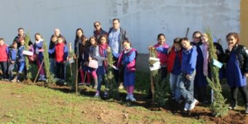 Studenti (ri)piantano gli alberi rubati dal cimitero