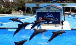 Assunzioni ZooMarine, oltre 200 posti disponibili