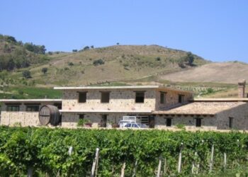 Il bianco ‘Donna Giovanna 2011’ terzo al premio nazionale