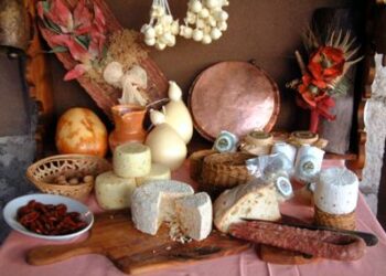 Presentato progetto ‘Smart Farm’ agroalimentare e biologico