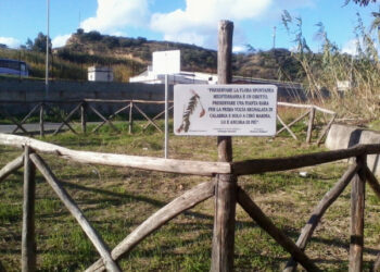 L’Astragalus boeticus ripulita e sistemata di recente