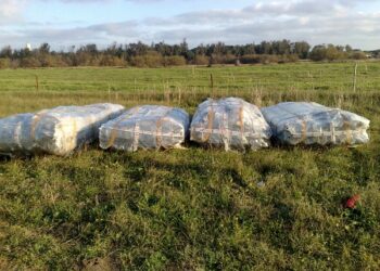 Balle di Eternit abbandonate a Punta Alice