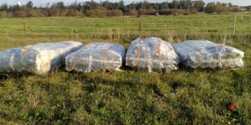 Balle di Eternit abbandonate a Punta Alice