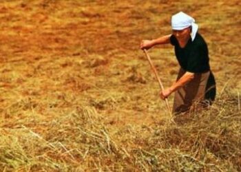 Rurale, donne al 40% per forza lavoro