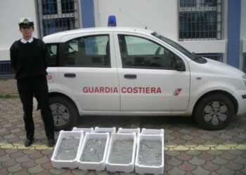 Guardia costiera sequestra tonnellate di prodotti ittici