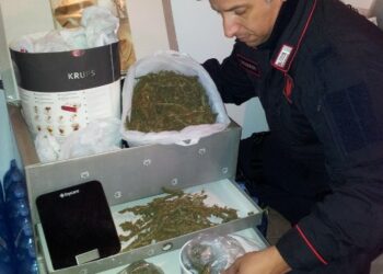 Spacciava marijuana, arrestato giovane barista isolitano