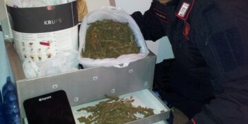 Spacciava marijuana, arrestato giovane barista isolitano