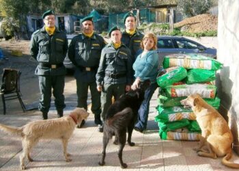 Raccolta fondi per l’acquisto di sacchi di croccantini