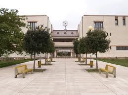 5 Professori Universitari all’Università del Salento