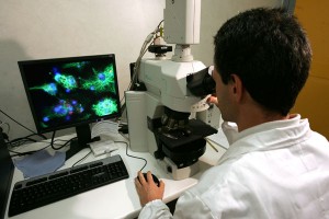 Assunzione di Ricercatore presso CNR