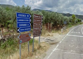 Collegamento area Petilino, solo promesse elettorali