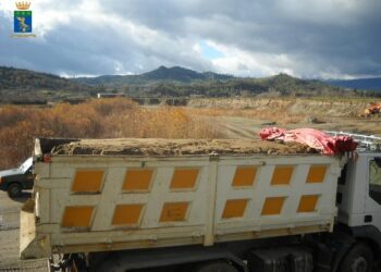 Cava abusiva in una Zona a Protezione Speciale
