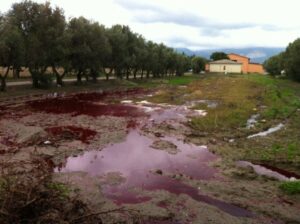 Discarica abusiva sequestrata