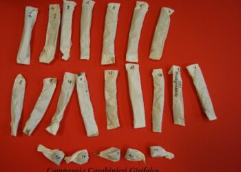 Sorpreso giovane con 21 dosi di marijuana