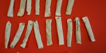 Sorpreso giovane con 21 dosi di marijuana