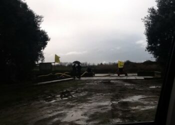 Parco archeologico Sibari, prosegue il ripristino