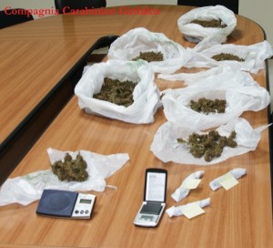 Marijuana sequestrata a Girifalco