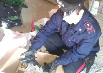 Pistola nascosta in casa, in manette muratore