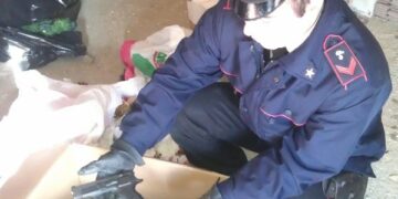 Pistola nascosta in casa, in manette muratore